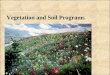 Vegetation and Soil Programs Mount Rainier National Park