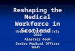 Reshaping the Medical Workforce in Scotland Update to NDPIG – July 2010 Alastair Cook Senior Medical Officer SGHD Senior Medical Officer SGHD