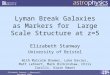 Elizabeth Stanway - Obergurgl, December 2009 Lyman Break Galaxies as Markers for Large Scale Structure at z=5 Elizabeth Stanway University of Bristol With