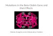1 Mutations in the Beta Globin Gene and their Effects Holda Anagho and Alexandra Coston