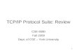 TCP/IP Protocol Suite: Review CSE 6590 Fall 2009 Dept. of CSE – York University 1