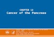 CHAPTER 12 Cancer of the Pancreas Source: Burden of digestive diseases in the United States, 2008. NIH Publication No. 09-6443
