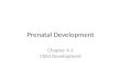 Prenatal Development Chapter 4-1 Child Development