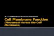 Bi 1a Cell Membrane Structure and Function  Cells need an inside & an outside…  separate cell from its environment  cell membrane is the boundary
