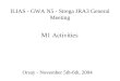 ILIAS - GWA N5 - Strega JRA3 General Meeting Orsay - November 5th-6th, 2004 M1 Activities
