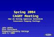 Spring 2004 CAGNY Meeting How do Rating Agencies Determine Insurance Company Ratings John Andre Vice President Property/Casualty Ratings June 3, 2004