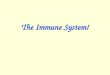The Immune System!. What is Immunity? Immunity –The ability of the body to fight infection and/or foreign invaders by producing antibodies or killing