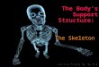 The Body’s Support Structure: The Skeleton Functions of the skeleton: o Provides shape and support o Enables you to move o Protects your internal organs