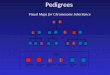 Pedigrees Visual Maps for Chromosome Inheritance