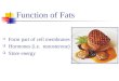 Function of Fats  Form part of cell membranes  Hormones (i.e. testosterone)  Store energy