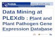 Www.plexdb.org Data Mining at PLEXdb : Plant and Plant Pathogen Gene Expression Database