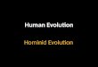 Hominid Evolution Human Evolution. Objectives Identify the characteristics that all primates share. Describe the major evolutionary groups of primates