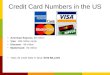 Credit Card Numbers in the US American Express: 38 million Visa: 109 million cards Discover: 49 million MasterCard: 82 million Total US credit Debt in