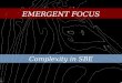 EMERGENT FOCUS Complexity in SBE. NSF-wide Complexity Focus Interacting elements. Large numbers of interacting elements, random interactions and aggregate