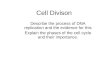 Cell Divison Describe the process of DNA replication and the evidence for this Explain the phases of the cell cycle and their importance