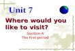 Where would you like to visit? Unit 7 Section A The first period