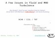 A Few Issues in fluid and MHD Turbulence Alex Alexakis*, Aimé Fournier, Jonathan Pietarila-Graham &, Darryl Holm @, Bill Matthaeus %, Pablo Mininni^ and