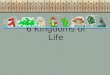 6 Kingdoms of Life. The student will investigate and understand life functions of archaebacteria, monerans (eubacteria), protists, fungi, plants, and