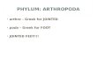 PHYLUM: ARTHROPODA arthro – Greek for JOINTED poda – Greek for FOOT JOINTED FEET!!!