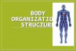 BODY ORGANIZATION & STRUCTURE Chapter 22. BODY ORGANIZATION Chapter 22 Section 1 S7L2.c – Explain that cells are organized into tissues, tissues into