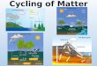 Cycling of Matter Carbon Cycle Nitrogen Cycle. Ecosystems TEKS TEK 7.5 B – Demonstrate and explain the cycling of matter within living systems such as