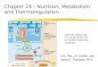 Chapter 24 – Nutrition, Metabolism and Thermoregulation G.R. Pitts, J.R. Schiller, and James F. Thompson, Ph.D. Use the video clip, CH 24 Nutrition for