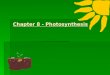 Chapter 8 - Photosynthesis. Overview of Photosynthesis and Respiration Overview of Photosynthesis and Respiration 3. PHOTOSYNTHESIS 5. RESPIRATION 1