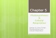 Photosynthesis & Cellular Respiration Energy & Living Things, Photosynthesis and Cellular Respiration Chapter 5