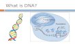 What is DNA? Aca Molecular Genetics and Biotechnology