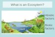 What is an Ecosytem? Abiotic factors Biotic factors