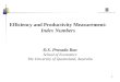 1 Efficiency and Productivity Measurement: Index Numbers D.S. Prasada Rao School of Economics The University of Queensland, Australia
