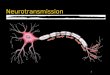 1 Neurotransmission. 2 How neurons communicate zNeurons communicate through an electrical signal called the Action Potential zAction Potentials may be