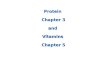 Protein Chapter 3 and Vitamins Chapter 5. Protein Chapter 3