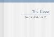 The Elbow Sports Medicine 2. The Elbow Humerus, radius, ulna Muscles- Biceps, Brachialis, Brachioradialis, Triceps, Pronator Teres