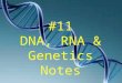 #11 DNA, RNA & Genetics Notes. DNA is short for Deoxyribonucleic Acid The basic substance of heredity DNA organized into chromosomes which are found in