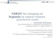 NIROT for imaging of hypoxia in cancer tumors (preclinical study) Alexander Kalyanov*, Juan Mata Pavia*, Catherine Germanier***, Markus Rudin***, Martin