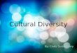 Cultural Diversity By: Cindy Quisenberry. Definitions  Culture – the values, beliefs, attitudes, languages, symbols, rituals, behaviors, and customs