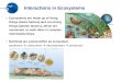 Interactions in Ecosystems 2 CHAPTER Ecosystems are made up of living things (biotic factors) and non-living things (abiotic factors), which are connected