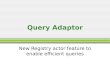 Query Adaptor New Registry actor feature to enable efficient queries