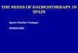 THE NEEDS OF HADRONTHERAPY IN SPAIN Ignacio Petschen Verdaguer IFIMED 2009