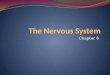 Chapter 8. The Nervous System The system of cells, tissues, and organs that regulates the body’s response to internal and external stimuli