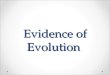 Evidence of Evolution Main Types of Evidence 1. Fossils 2. Homologous structures 3. Embryology