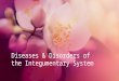 Diseases & Disorders of the Integumentary System