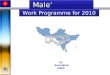 Male’ Declaration Male’ Declaration Work Programme for 2010 by Secretariat UNEP