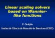 Linear scaling solvers based on Wannier-like functions P. Ordejón Institut de Ciència de Materials de Barcelona (CSIC)