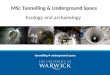 Tunnelling underground space MSc Tunnelling & Underground Space Ecology and archaeology