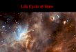 Life Cycle of Stars. 1st Step: –Stars form from nebulas Regions of concentrated dust and gas left from the BIG BANG (or other stars’ demise) –Gas and