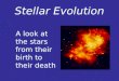 Stellar Evolution A look at the stars from their birth to their death