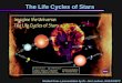 The Life Cycles of Stars Modied from a presentation by Dr. Jim Lochner, NASA/GSFC