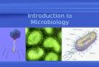 Introduction to Microbiology. Microbiology Study of microscopic (living ) things E.g. viruses, bacteria, algae, protists, fungi